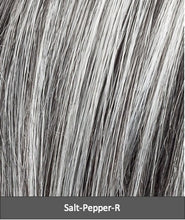 Load image into Gallery viewer, Flirt by Ellen Wille | Changes | Synthetic Wig