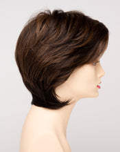 Load image into Gallery viewer, Coti | Envy Hair by Envy