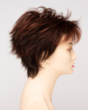 Load image into Gallery viewer, Ophelia | Envy Hair by Envy