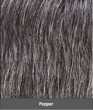 Load image into Gallery viewer, George 5 Stars by Ellen Wille | Hairformance | Men's Synthetic Wig