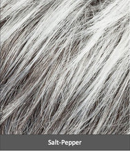 Load image into Gallery viewer, Bliss by Ellen Wille | Changes | Synthetic Wigs