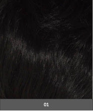 Load image into Gallery viewer, 801 Pony Swing by WIGPRO | Synthetic Hair Piece