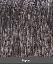 Load image into Gallery viewer, George 5 Stars by Ellen Wille | Hairformance | Men&#39;s Synthetic Wig